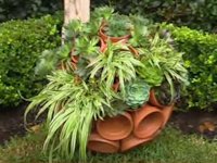youtube GREAT GARDEN IDEAS Succulent Sphere